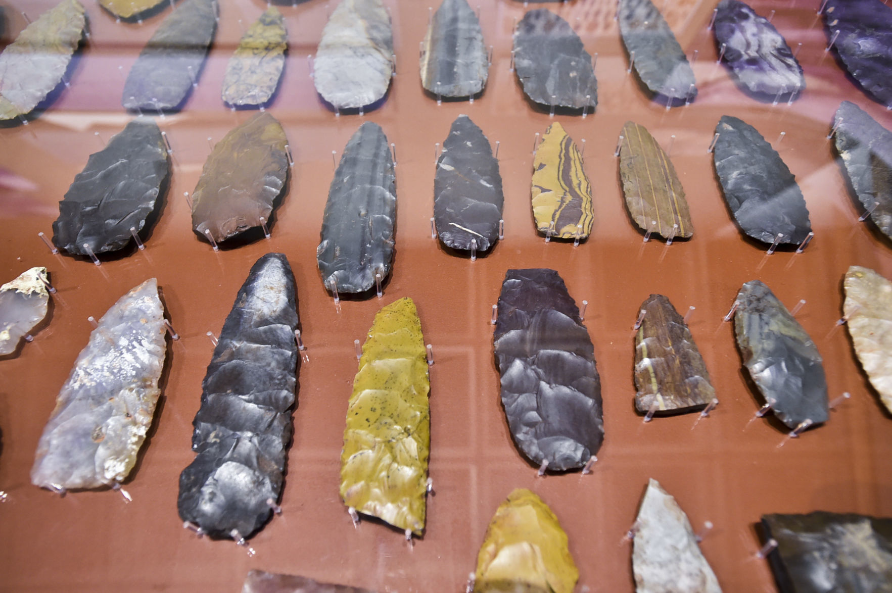 Clovis points on display from the Anzick clovis burial sit